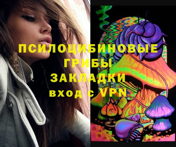 дживик Алексеевка