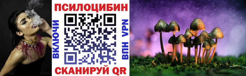 где продают наркотики  Подольск  Галлюциногенные грибы Psilocybe 