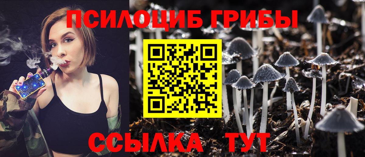 Галлюциногенные грибы Psilocybe  Вход с VPN  Псилоцибиновые грибы мухоморы  Подольск 