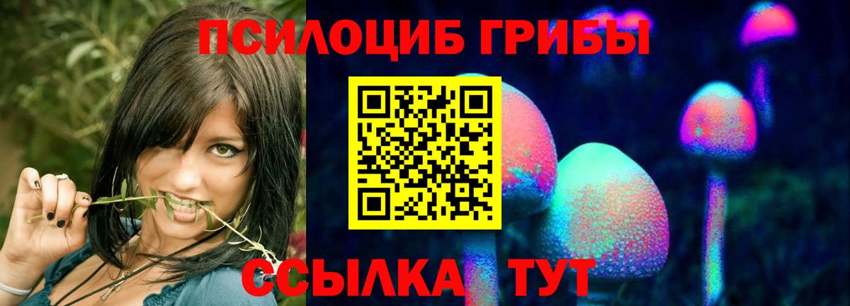 Галлюциногенные грибы Cubensis Подольск